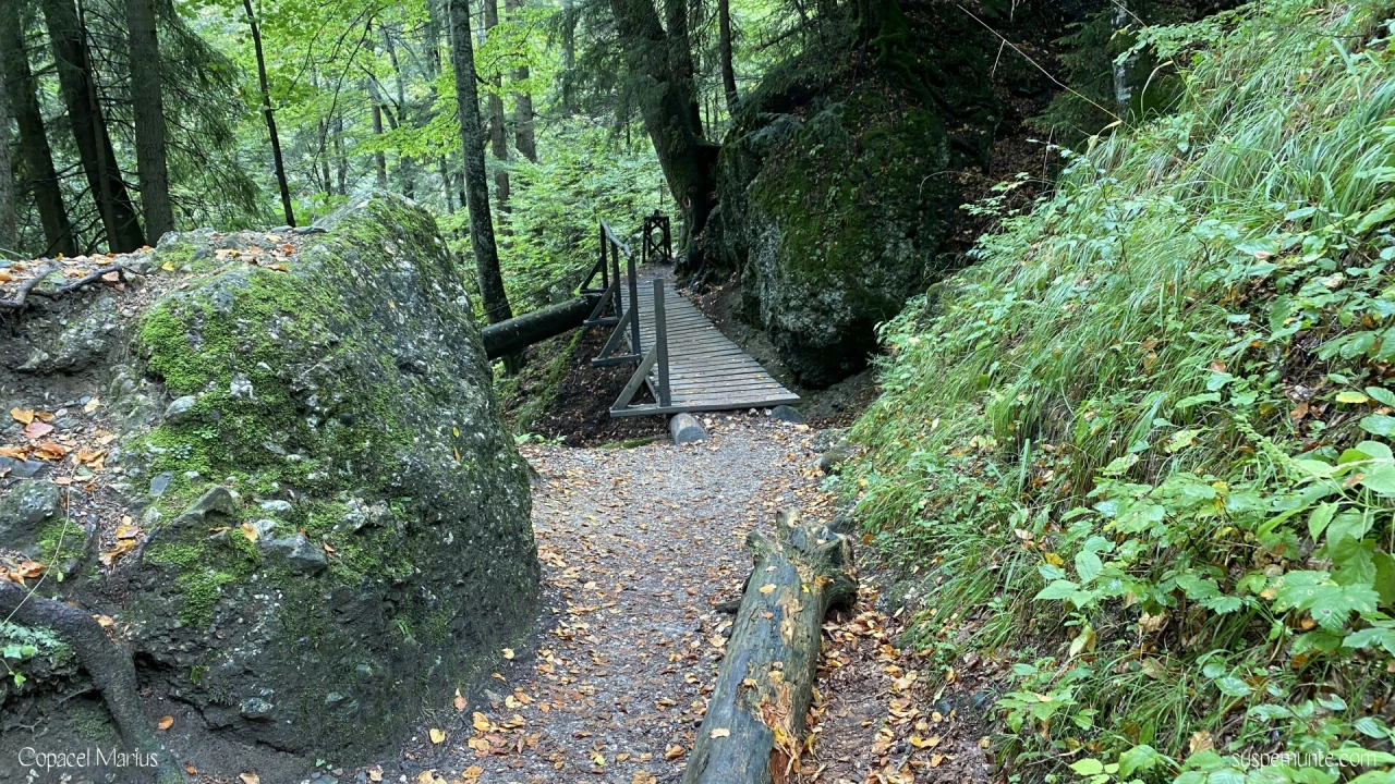 Cascada Urlătoarea, Bucegi