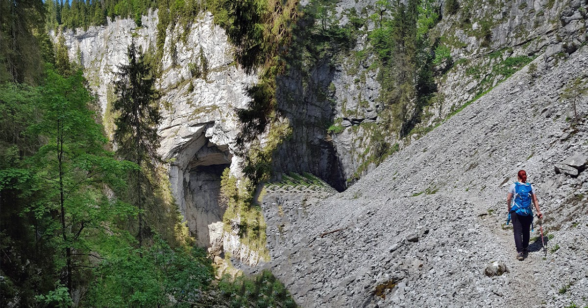 Padiș → Circuit Cetățile Ponorului (buclă)