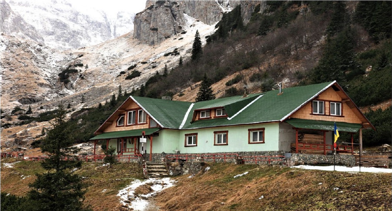 Cabana Mălăiești → Vf. Omu