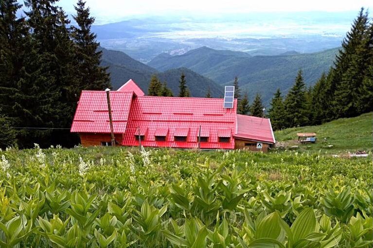 Turnu Roșu → Cabana Suru