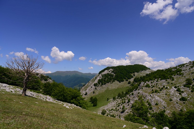 Băile Herculane → Crovurile Mehedințiului