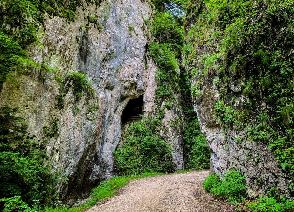 Fântâna lui Botorog → Prăpăstiile Zărnești